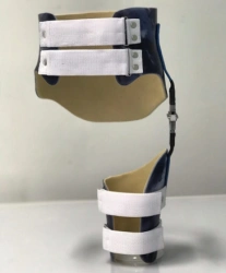 Hip apparatus