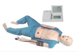 Mannequin for teaching CPR and nursing techniques, NS1010
