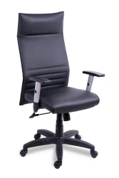 Armchair Mike
