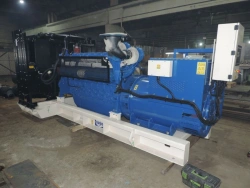 Diesel-generator sets (containerised design) of DGU-SK type (capacity: up to 2000kVA-1(2,3)-0,4 kV UHL1 (U1))