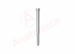 Proximal locking screw