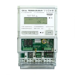 Multifunctional electric energy meter TE2000