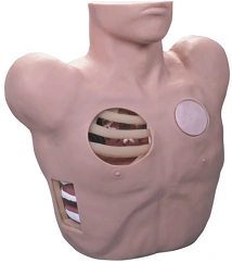 Mannequin for practising drainage of pleural cavity, art. no. L66