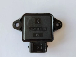 DPDZ-01-Throttle position sensor 406.113 0000-01
