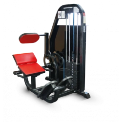 Back extensor machine (weight block)