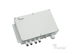 Liana" intrusion detector