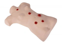 Torso phantom for stoma treatment ZIK-19