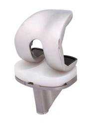 Sanat Swing Knee Implant Set: Femoral component. Design variants: Femoral component