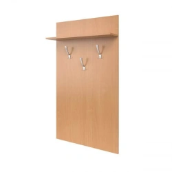 Hanger with shelf