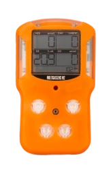 Gas analysers portable Multigazsens M2.L