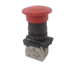 Switch with mushroom-shaped pusher with locking 22mm plastic (CME 5F)