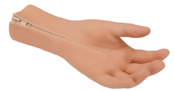 Cosmetic hand prosthesis, including partial and partial disarticulation of the hand PR0-21