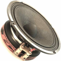 Midbass household 6" dynamic head