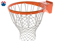 Basketball PRO ring