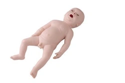 Model of neonatal endotracheal intubation, FA6248