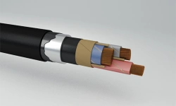 Power cables with paper impregnated insulation, not spreading combustion, for voltage 6 kV of TsSBSHng(A) grade