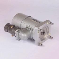Electric motor DD37T5