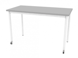 Mobile table on round supports 1200x600x750mm (WxHxH)