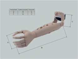 Microprocessor-controlled wrist prosthesis, including separation and partial separation of the hand.