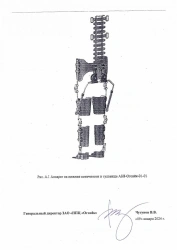 Lower limbs and torso AN8-Ogonyok-01-01 apparatus