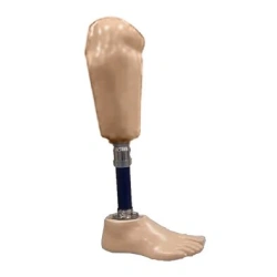 Tibial prosthesis for bathing PH3-87K