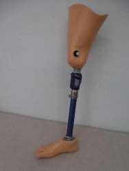 Hip prosthesis for bathing