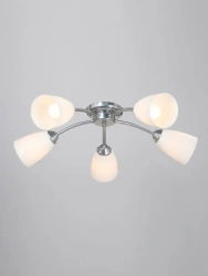 General purpose fixed luminaire V3944-9/5PL