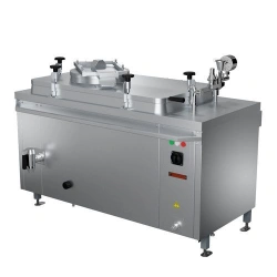 Electric marine food boilers KSE-250