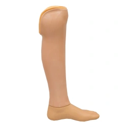 8-07-09 Modular tibial prosthesis, including underdevelopment PN3-87