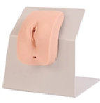 Catheterisation model (female), Art. 28F