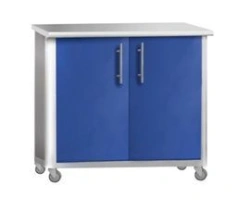 Swinging cabinet KSTm 2-03E