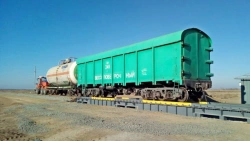 Wagon electronic scales RD-D