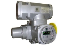 Electric actuators multi-turn actuators of explosion-proof version
