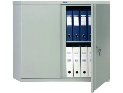 Cupboard AM 0891