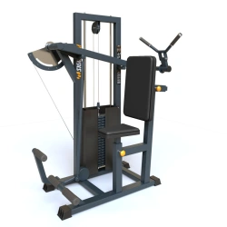 BF-122 Triceps machine