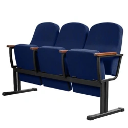 Seat section, multi-seat model Forum