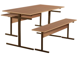 Tables with benches (dining area)