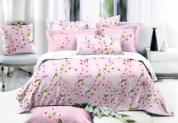 Garment linen: bed linen set Duet
