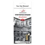 Graphic art pencils "VISTA-ARTISTA" "Academia "VAGPS-12 Sharpened 8x12pcs.