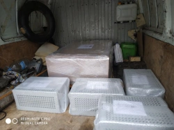 Transport frequency converter THP-09-P, MBTR.435332.009