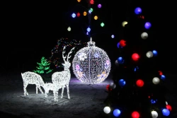 Illumination frame illumination "Deer family" - decorative street lamp, installed as an independent stationary lamp