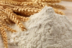 Flour & Starch Products