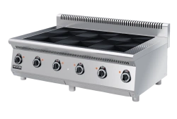 Electric cooker PE67N-02 (table-top, completely made of stainless steel, with air duct)