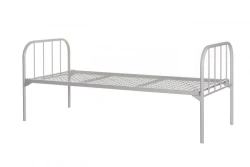 Functional bed for medical institutions according to TU 9452-001-81150649-2011 single-section KMB (BYU-101) with accessories