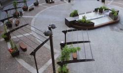 Pergola for climbing plants