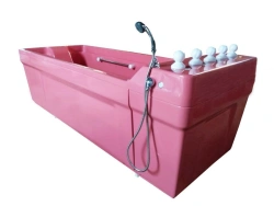 Hydrotherapeutic bathtub "GOLFSTREAM", modification - hydromassage, with PDM with Water Light system: PDM/G16/C