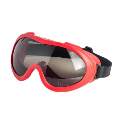 Safety goggles ZN55 SPARK super, article 25562