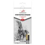 Graphic art pencils "VISTA-ARTISTA" VAGPG-12 Graphic pencils "12 shades of grey" set sharpened 8 pcs