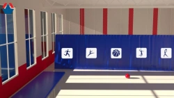 Horizontal gym division system