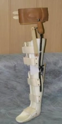Full leg apparatus